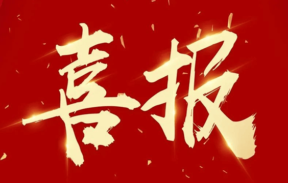 榮登“鹽城新春第一榜” | 晟功集團獲評五星級企業認定